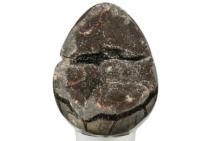 Septarian Dragon Egg Geode - Black Crystals #196256